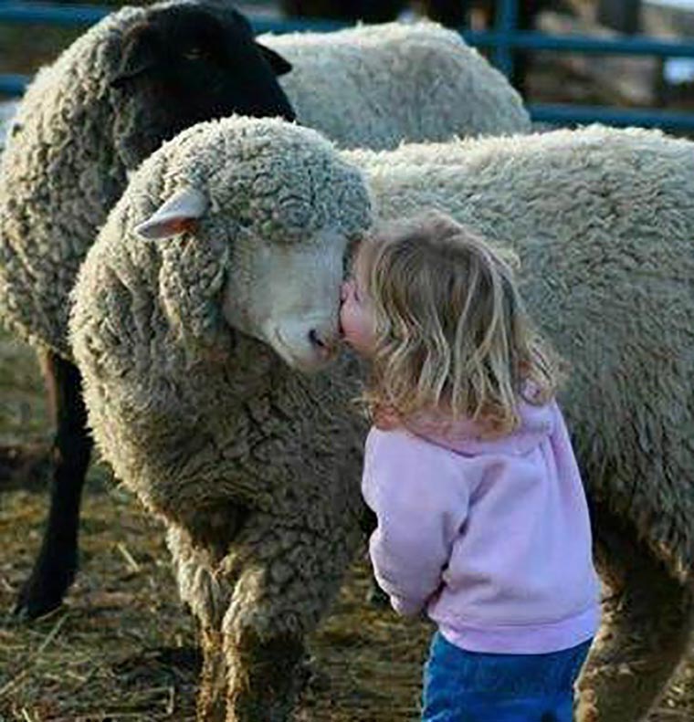 هوش طبیعت گرا